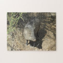 Buscar sonora puzzles Desierto