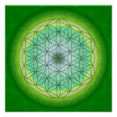 Buscar mandala posters Reiki