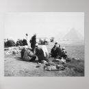 Buscar camello posters Blanco