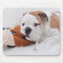 Buscar perritos alfombrillas de raton Horizontal