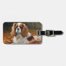 Buscar cavalier etiquetas para maletas Para todos