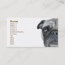 Buscar pug tarjetas de visita Perros