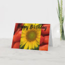 Buscar tomate divertido tarjetas Para todos