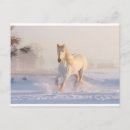 Buscar caballo hermoso postales Invierno