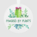 Buscar plantas adornos Hoja