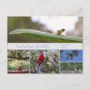 Buscar australia fotografía Para todos