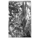 Buscar australia calendarios Playas