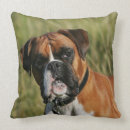 Buscar perros del boxeador cojines Headshot