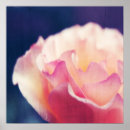 Buscar texturas posters Naturaleza