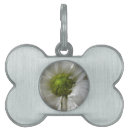 Buscar crisantemo collares Floral