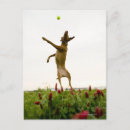 Buscar pelota de tenis postales Movimiento