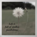 Buscar diente de león posters Wildflower