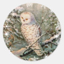 Buscar nevoso pegatinas Fauna