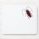 Buscar cucaracha alfombrillas de raton Divertido