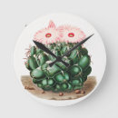 Buscar cactus relojes de pared Plantas