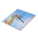 Buscar libélula colorida azulejos Animal