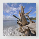 Buscar driftwood relojes de pared Costa