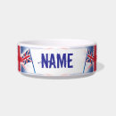 Buscar inglaterra mascotas Británico