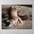 Buscar kitten posters Interior