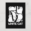 Buscar gatos blancos postales Para mascotas