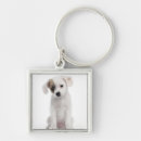 Buscar perrito llaveros Integral