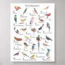 Buscar el observador posters Para niños