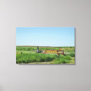 Buscar del oeste arte Fotografía