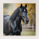 Buscar caballos negros puzzles Mare