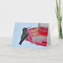 Buscar frozen postales Nieve