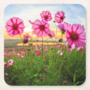 Buscar tailandia posavasos Paisaje