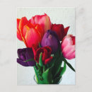 Buscar ramo de tulipanes postales Flores