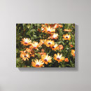 Buscar tallo lienzos Flores