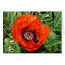 Buscar amapolas orientales General y unisex