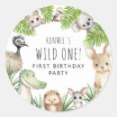 Buscar koala postales Animales de australia