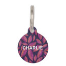 Buscar invierno collares Perros