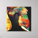 Buscar elefantes del color lienzos Pintura