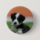Buscar foto vieja pins Perro
