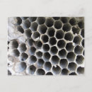 Buscar colmena postales Para todos