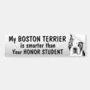 Buscar terrier boston pegatinas parachoque Divertido