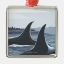 Buscar orca decoracion Estados