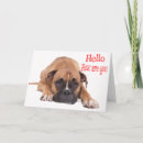 Buscar perro boxer tarjetas Para todos