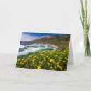 Buscar flora en la arena tarjetas Costa