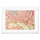 Buscar árbol amarillo posters Moderno