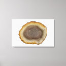 Buscar brasil lienzos Nadie