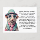 Buscar opossum postales Divertido