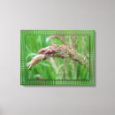 Buscar gotas de lluvia lienzos Detalle