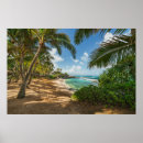 Buscar zonas tropicales posters Arena