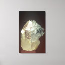 Buscar flúor posters Ciencias naturales