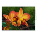 Buscar orquídeas amarillas tarjetas Naranja