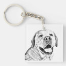 Buscar labrador retriever llaveros Labs